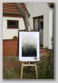 image12.jpg