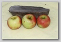 image21.jpg