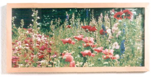 3D Foto